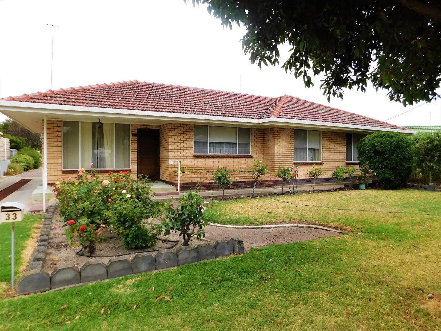 Main view of Homely house listing, 33 Haynes Street, Bordertown SA 5268
