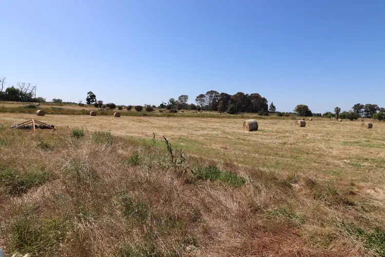 Second view of Homely rural property listing, _ Matheson Road, Kyvalley VIC 3621