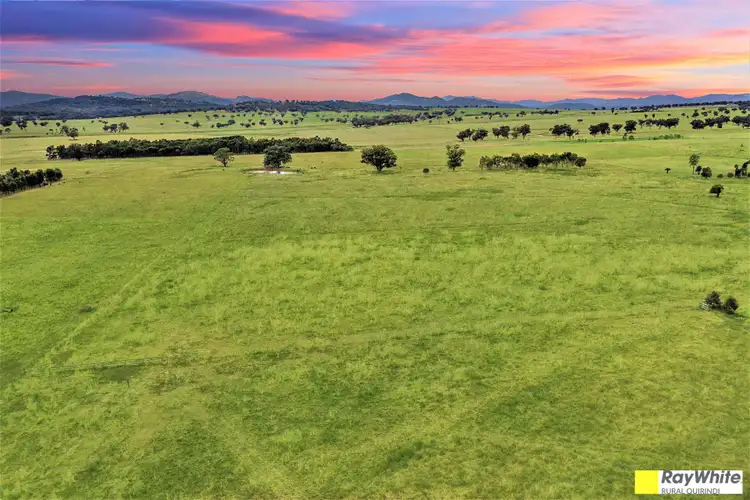 Fourth view of Homely rural property listing, Lot 3, 732 Werris Creek Road, Quirindi NSW 2343
