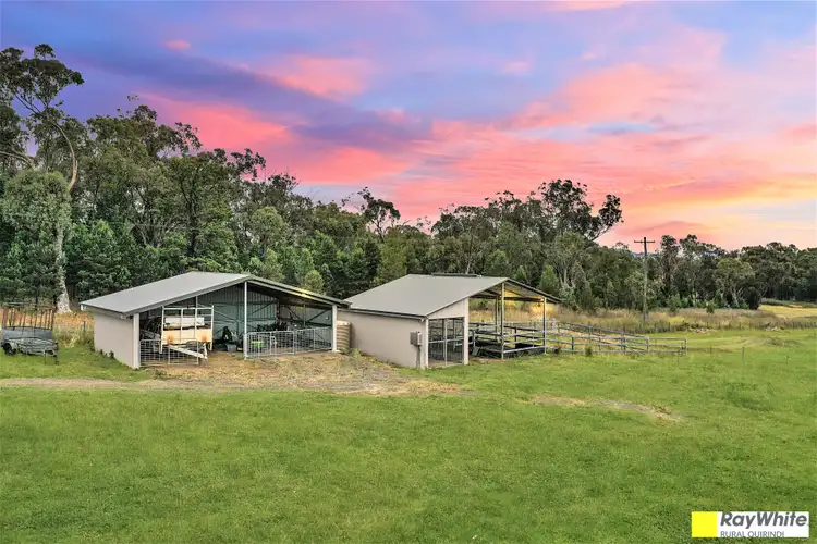 Fifth view of Homely rural property listing, Lot 3, 732 Werris Creek Road, Quirindi NSW 2343
