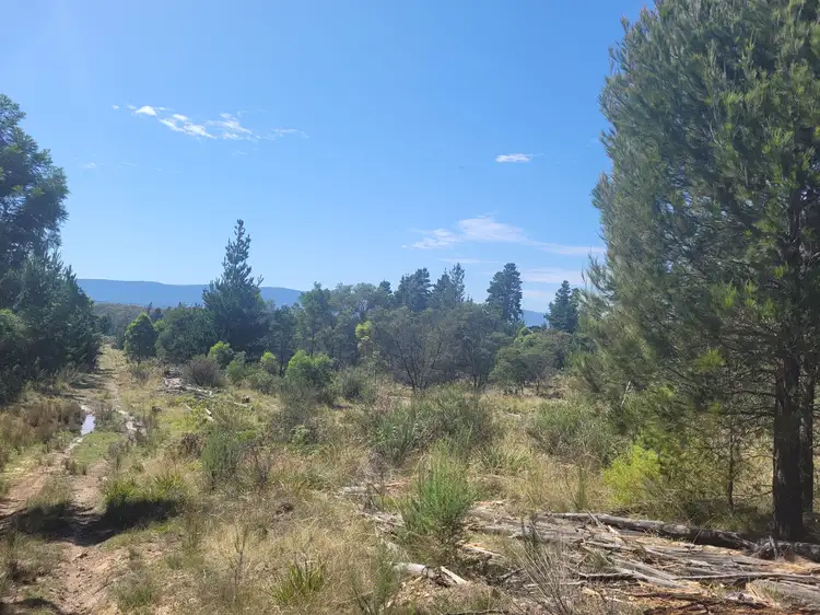 814 Back Creek Road, Braidwood NSW 2622