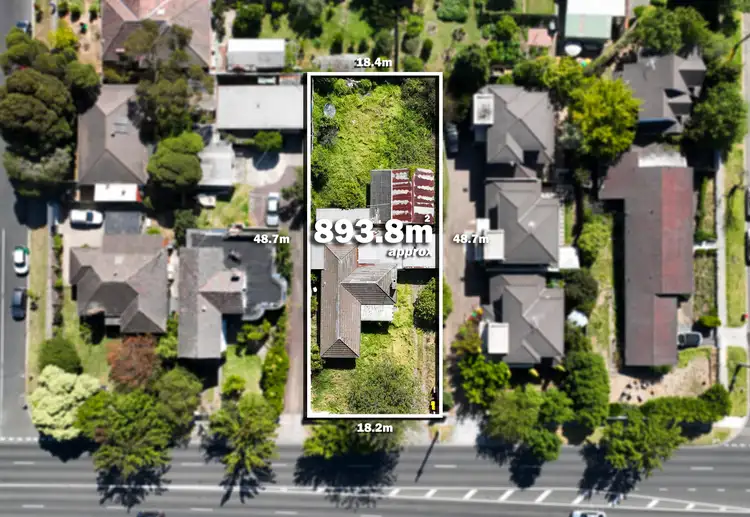 Main view of Homely house listing, 77 Middleborough Road, Burwood VIC 3125