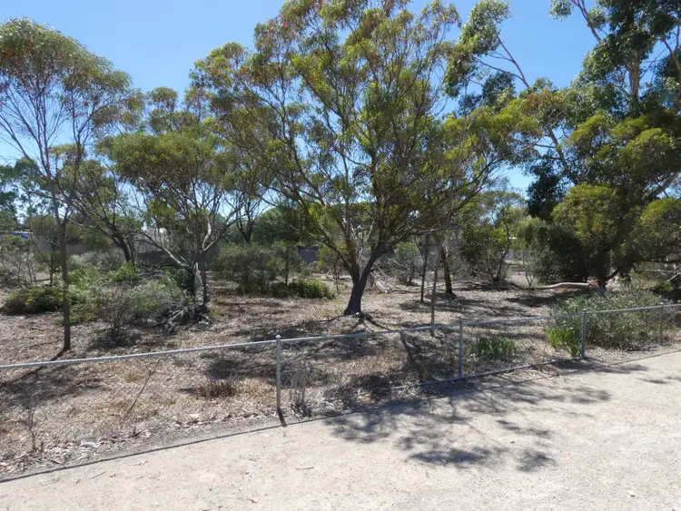 Fifth view of Homely land listing, 39 Trevena Road, Tailem Bend SA 5260