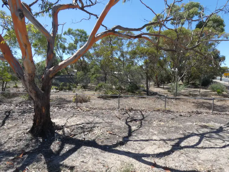 Sixth view of Homely land listing, 39 Trevena Road, Tailem Bend SA 5260