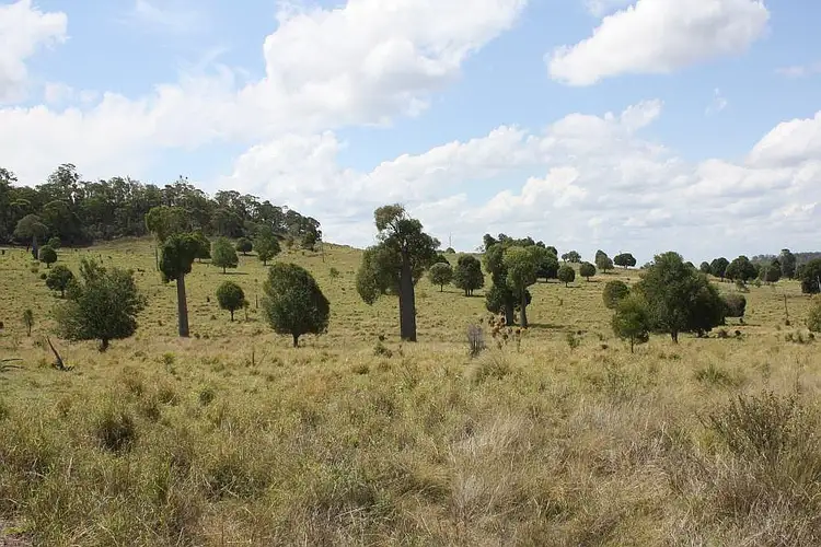 Main view of Homely rural property listing, 200 Mill Road, Monogorilby QLD 4626