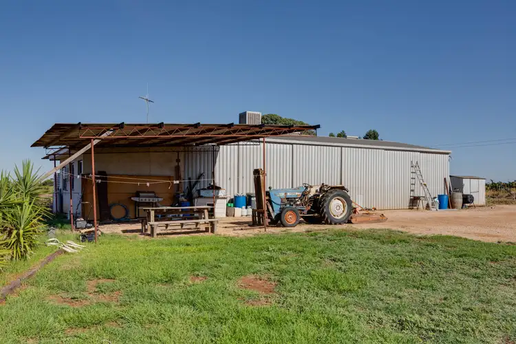 Fifth view of Homely rural property listing, 335 Gilmour Road, Loveday SA 5345