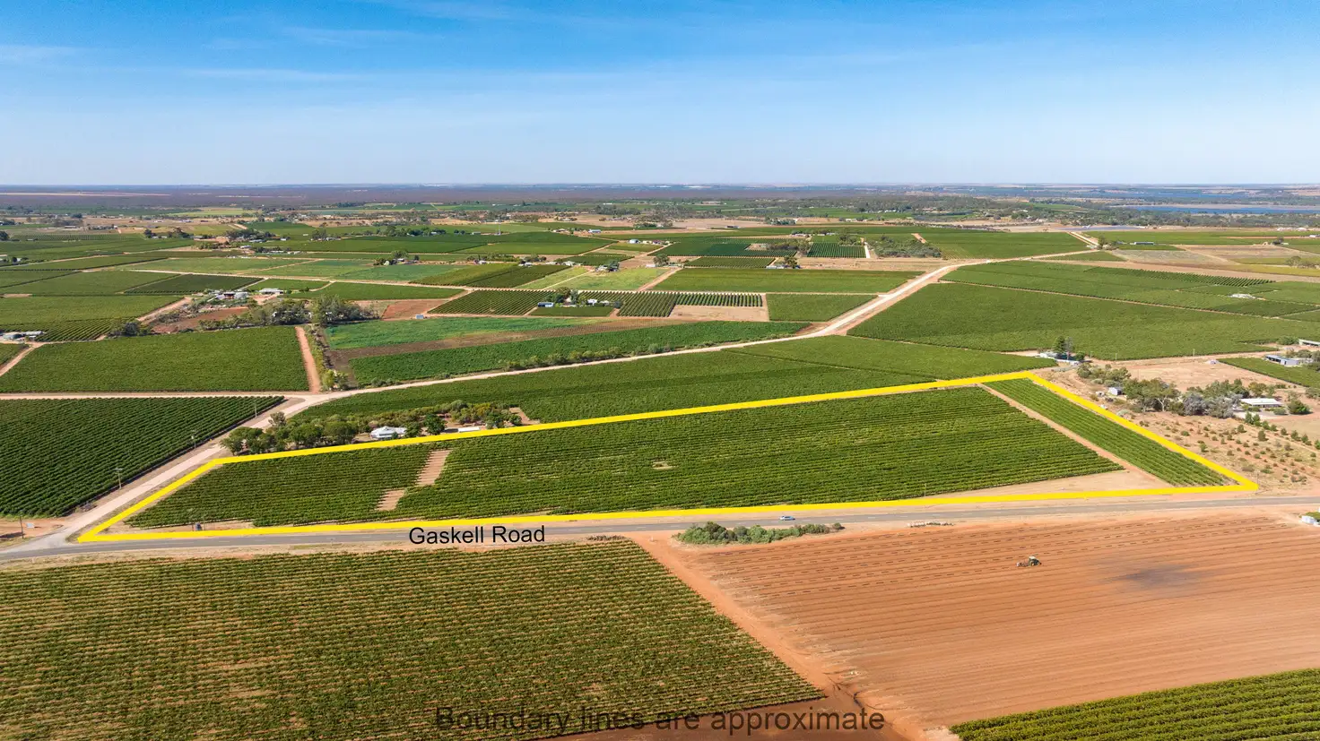Main view of Homely rural property listing, 265 Gaskell Road, Barmera SA 5345
