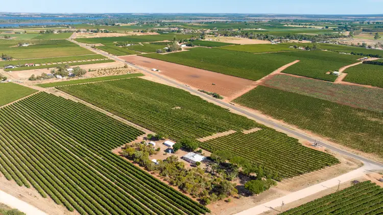 Fourth view of Homely rural property listing, 265 Gaskell Road, Barmera SA 5345