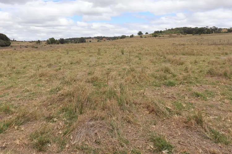 Seventh view of Homely rural property listing, 255 Middle Road, Kinleymore QLD 4613