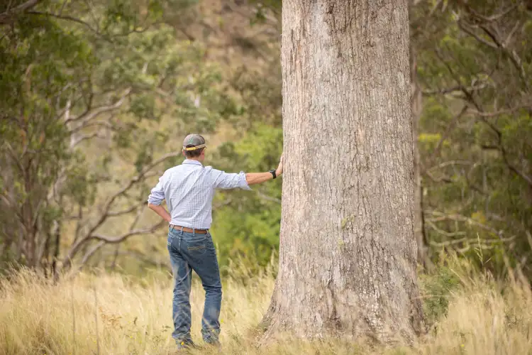 Third view of Homely rural property listing, 527 Melrose Road, Armidale NSW 2350