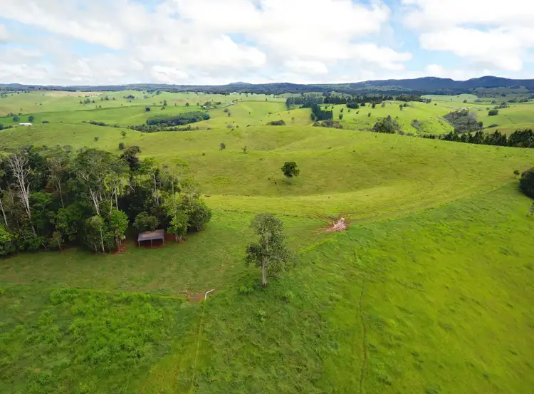 Third view of Homely rural property listing, 408 Seamark Road, Tarzali QLD 4885