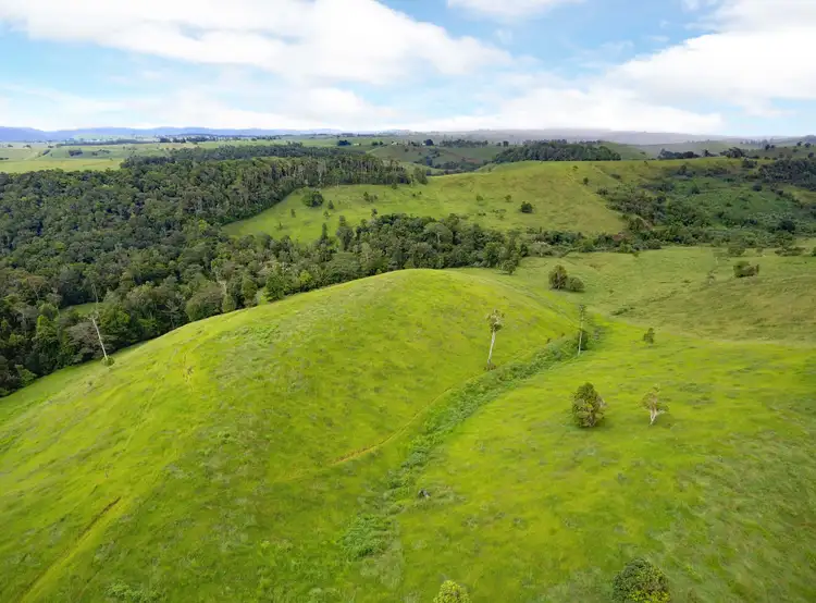 Fourth view of Homely rural property listing, 408 Seamark Road, Tarzali QLD 4885