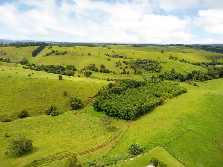 Fifth view of Homely rural property listing, 408 Seamark Road, Tarzali QLD 4885