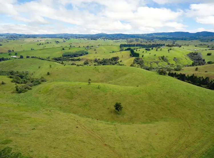 Sixth view of Homely rural property listing, 408 Seamark Road, Tarzali QLD 4885