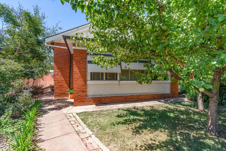 23 Norman Street, Turvey Park NSW 2650