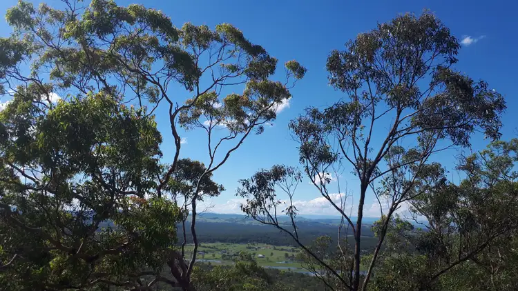 Fourth view of Homely rural property listing, 686 East Seaham Road, East Seaham NSW 2324