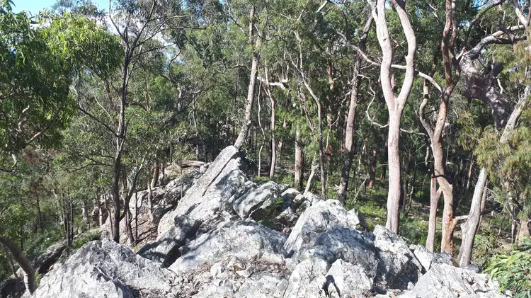 Fifth view of Homely rural property listing, 686 East Seaham Road, East Seaham NSW 2324