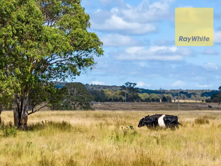 Fifth view of Homely rural property listing, 211 Fernleigh Close, Goulburn NSW 2580