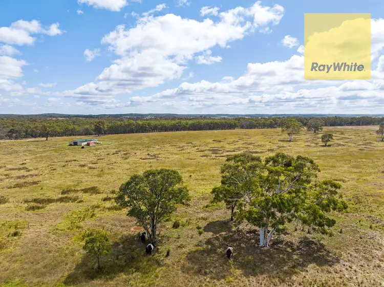 Sixth view of Homely rural property listing, 211 Fernleigh Close, Goulburn NSW 2580