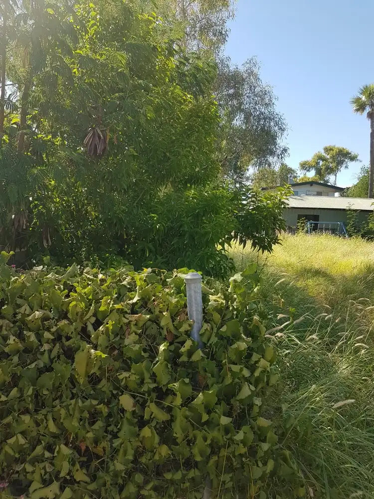 Third view of Homely land listing, 25 Parrot Lane, Longreach QLD 4730