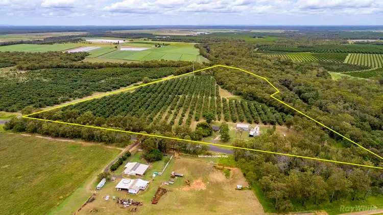 Second view of Homely house listing, 3903 Goodwood Road, Elliott QLD 4670