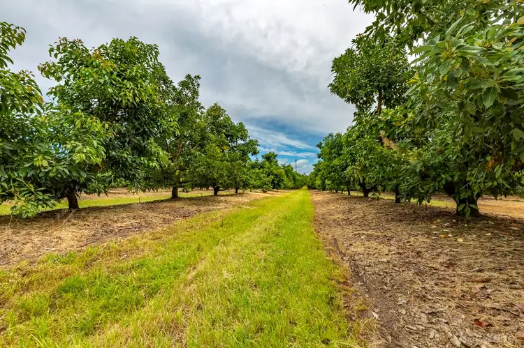 Third view of Homely house listing, 3903 Goodwood Road, Elliott QLD 4670