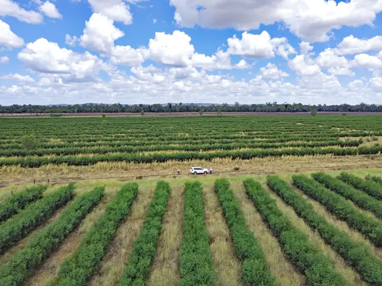 43931 Burnett Highway, Jambin QLD 4702