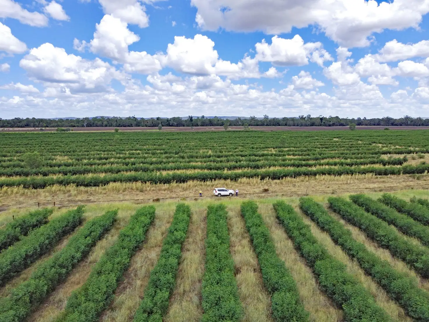 Main view of Homely rural property listing, 43931 Burnett Highway, Jambin QLD 4702