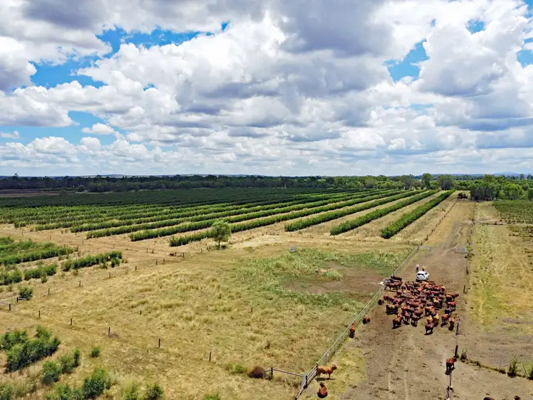 Third view of Homely rural property listing, 43931 Burnett Highway, Jambin QLD 4702