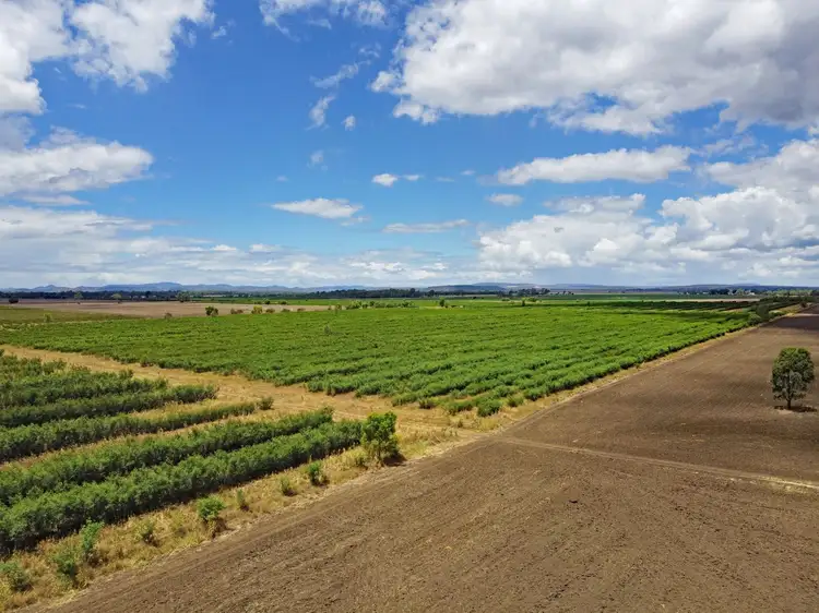 Sixth view of Homely rural property listing, 43931 Burnett Highway, Jambin QLD 4702