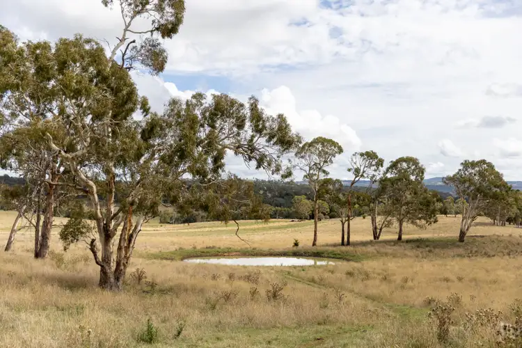Third view of Homely rural property listing, 318 Bundarra Road, Armidale NSW 2350