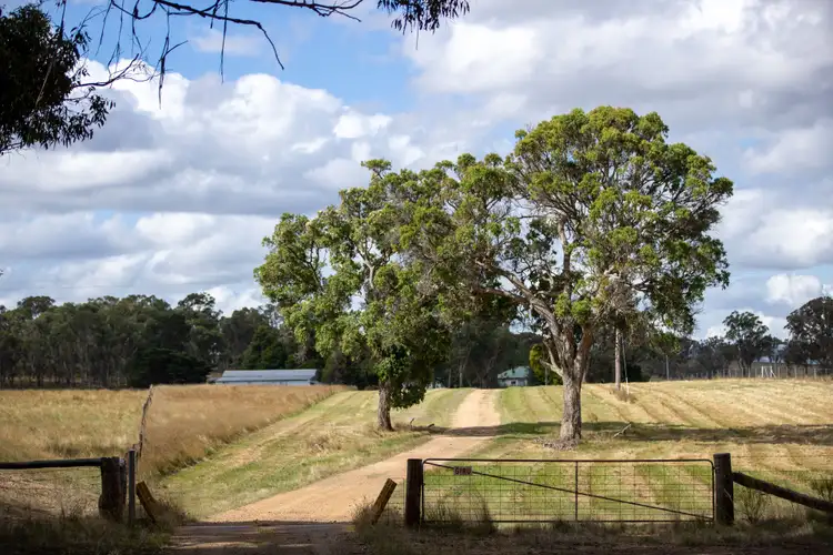 Sixth view of Homely rural property listing, 324 Wellingtonvale Road, Deepwater NSW 2371
