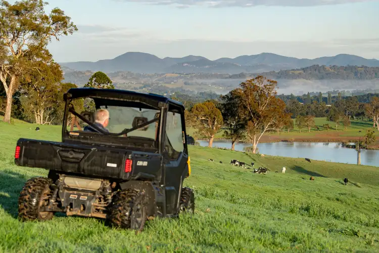 Main view of Homely rural property listing, 208 Reedy Swamp Road, Tarraganda NSW 2550