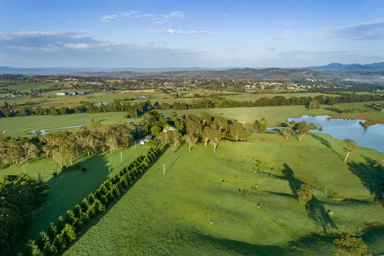 Sixth view of Homely rural property listing, 208 Reedy Swamp Road, Tarraganda NSW 2550