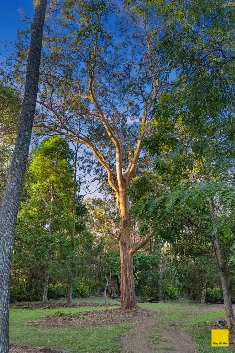88 Molle Road, Ransome QLD 4154