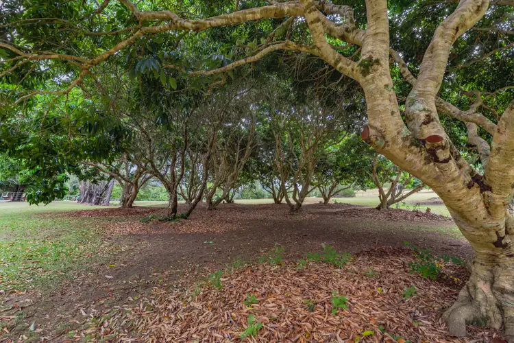 Fourth view of Homely rural property listing, 86 Lanes Road, Wongawallan QLD 4210