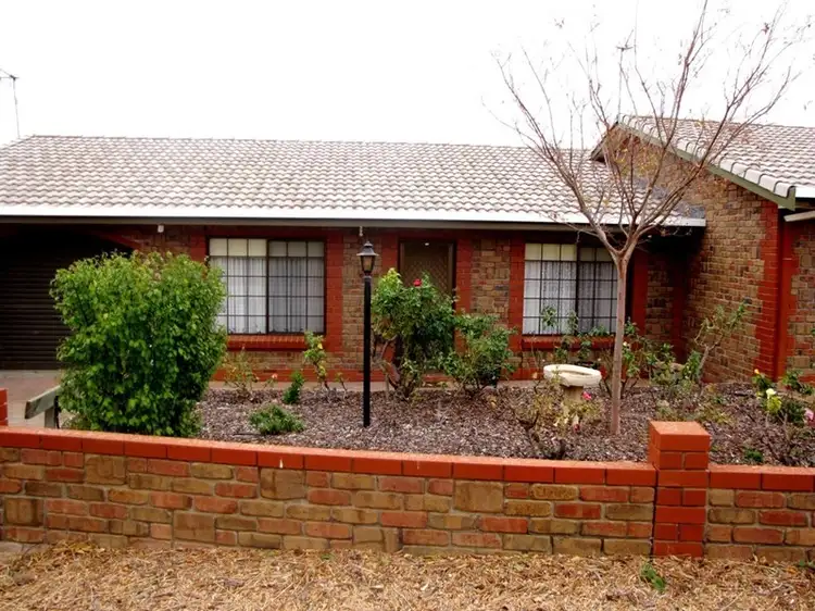 Main view of Homely house listing, Unit 3/2 Sturt Street, Barmera SA 5345