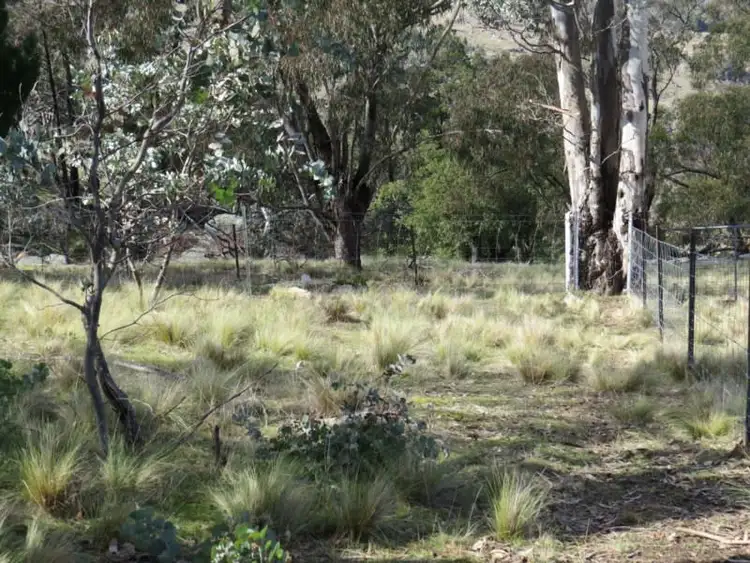 Seventh view of Homely rural property listing, Lot 104 Clements Road, Woodstock NSW 2793
