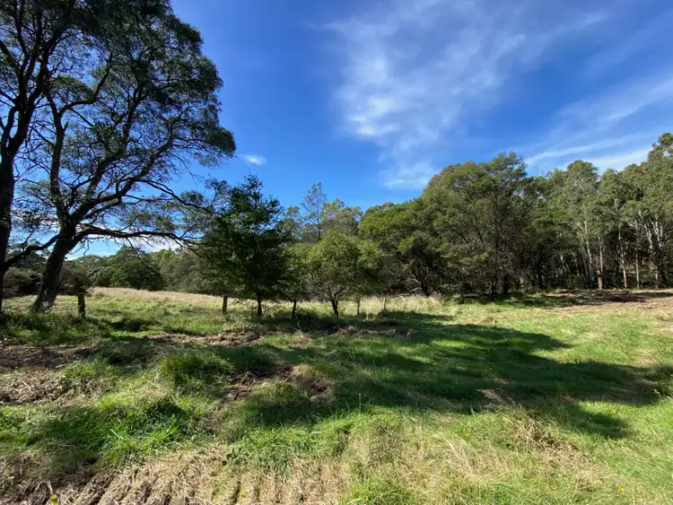 Third view of Homely rural property listing, 49 King Street, Braidwood NSW 2622