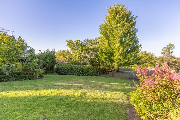 Fifth view of Homely rural property listing, 667 Big Springs Road, Big Springs NSW 2650