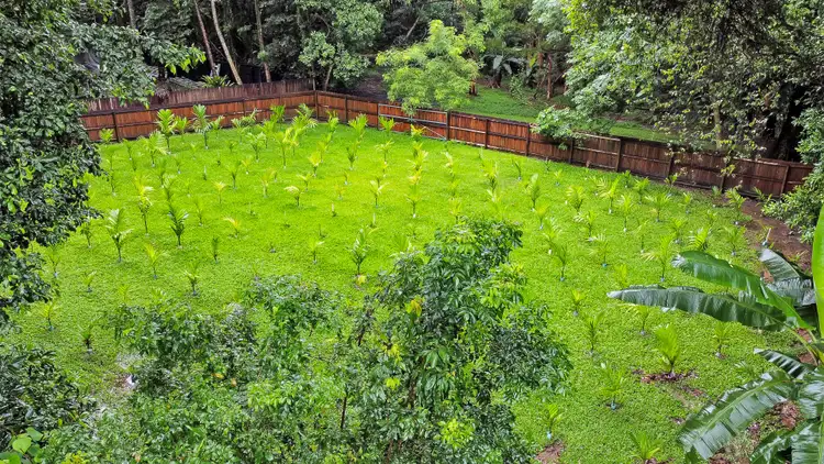 Fourth view of Homely land listing, 20 Maori Close, Clifton Beach QLD 4879