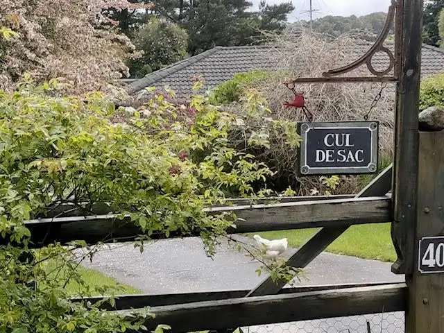 Main view of Homely house listing, 40 Missingham Parade, Robertson NSW 2577
