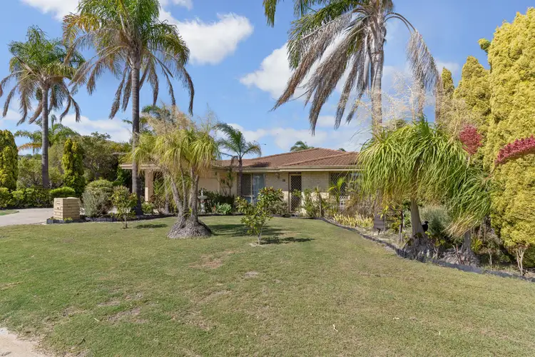 26 Salmon Gum Grove, Beechboro WA 6063