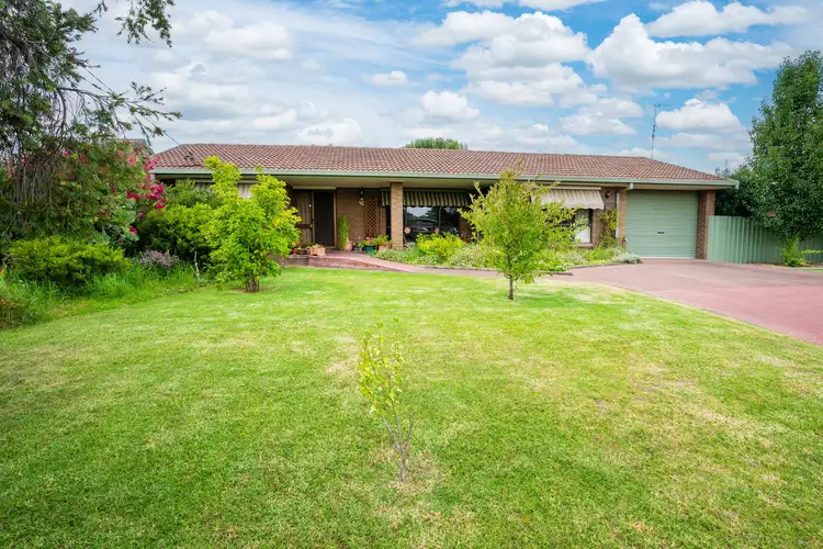 42 Vine Street, Holbrook NSW 2644