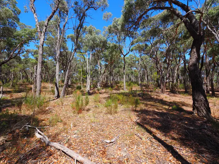 Lot 30 Tantaus Road, Dereel VIC 3352