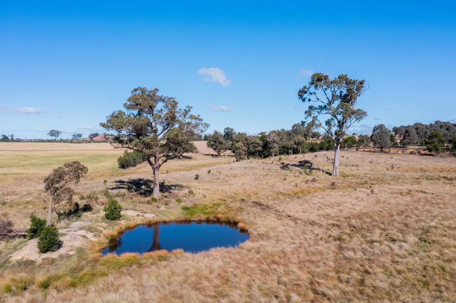 Main view of Homely rural property listing, 2603 Windellama Road, Goulburn NSW 2580