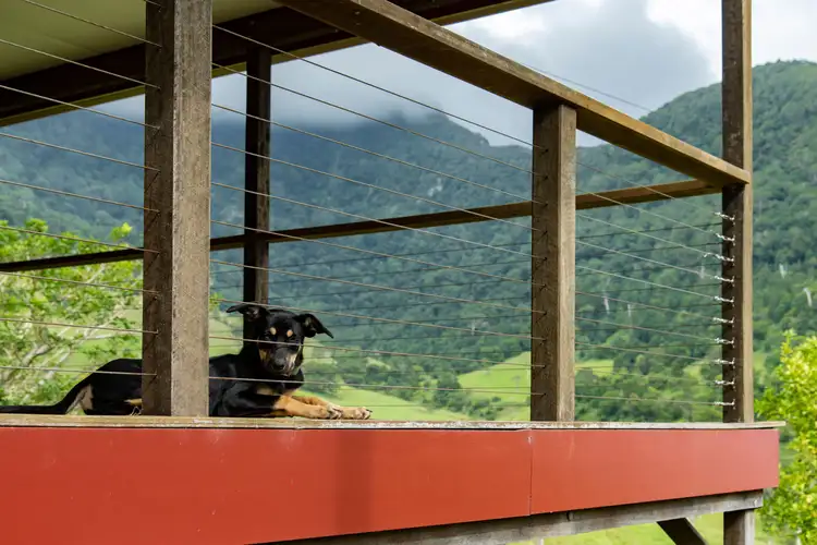 Fourth view of Homely rural property listing, 26 Hayters Road, Natural Bridge QLD 4211