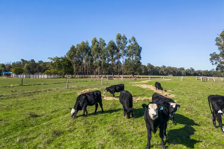 Second view of Homely house listing, 100 Guthridge Road, Nannup WA 6275