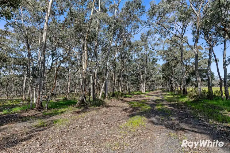 Fourth view of Homely land listing, 2420 Strathfieldsaye Road, Eppalock VIC 3551