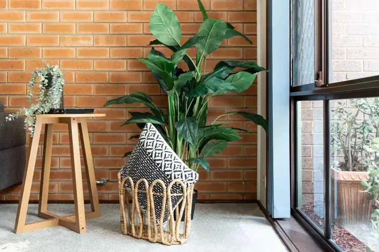 Second view of Homely townhouse listing, 7/15 Mansfield Place, Phillip ACT 2606